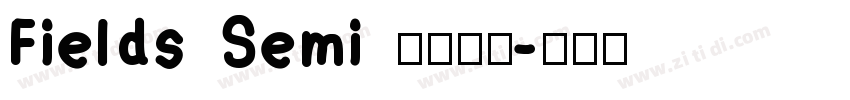 Fields Semi 全套字体字体转换